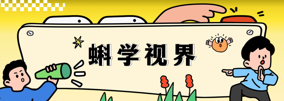让小鼠看《黑客帝国》：科学家如何绘制迄今最详细大脑“接线图”